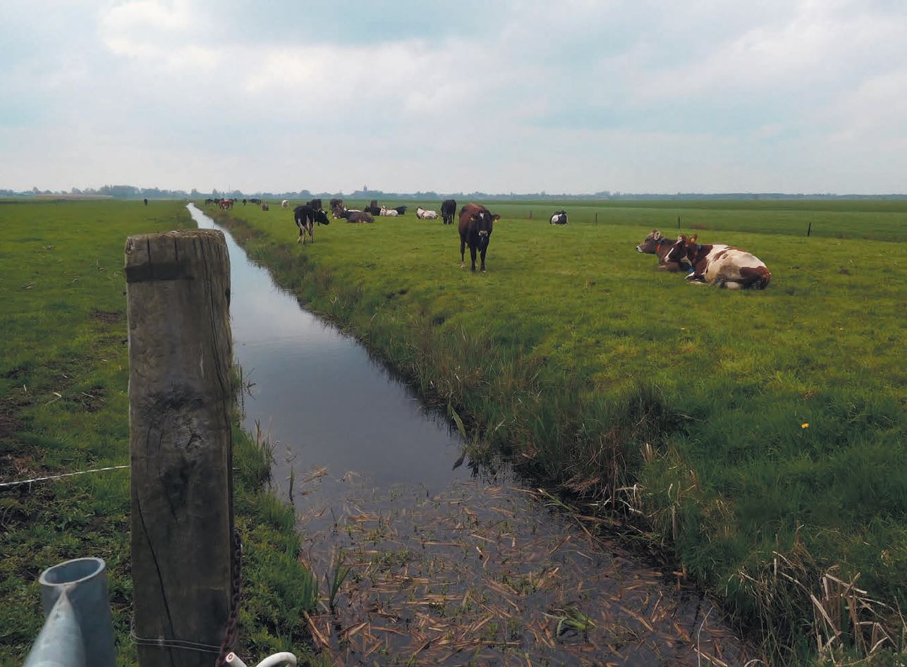 Duurzaam grondbeheer door kerken