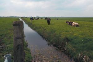 Duurzaam grondbeheer door kerken
